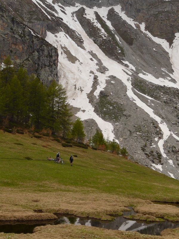 #5 Contraste : Blanc et vert, des couleurs de saison Contraste : Blanc et vert, des couleurs de saison