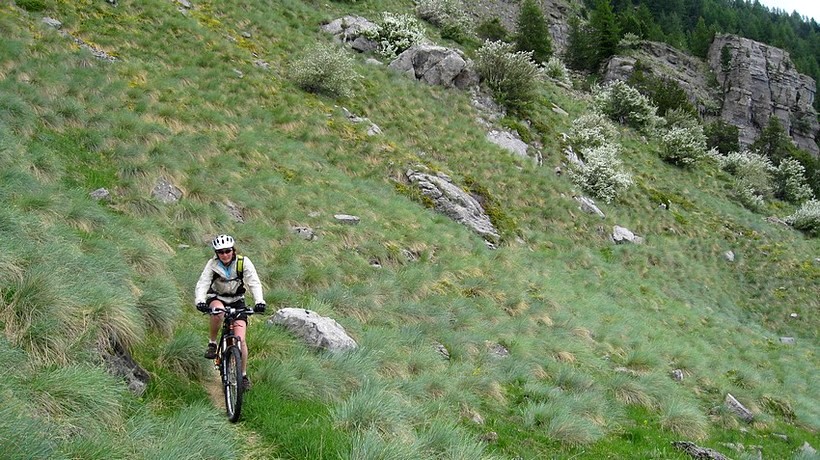 #18 Des grandes herbes Des grandes herbes