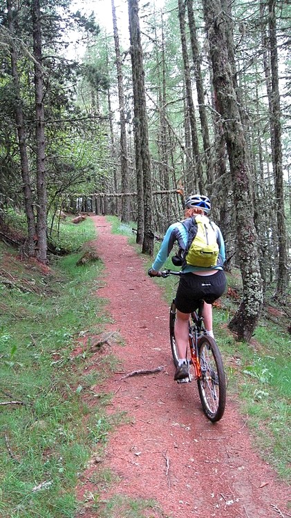 #9 Forêt sombre : au niveau de Ferme Coquette Forêt sombre : au niveau de Ferme Coquette