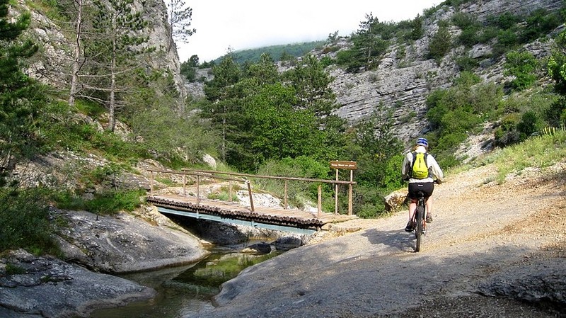 Petit pont : très mignon