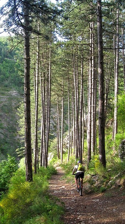 #1 Fin de la piste : on arrive dans les Gorges Fin de la piste : on arrive dans les Gorges