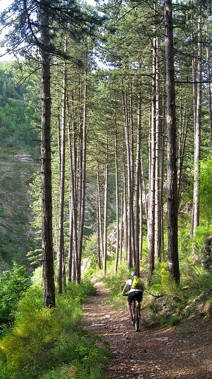 Fin de la piste : on arrive dans les Gorges