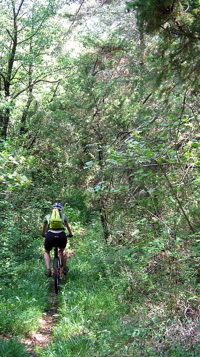 Descente du Serre du loup : la Jungle !