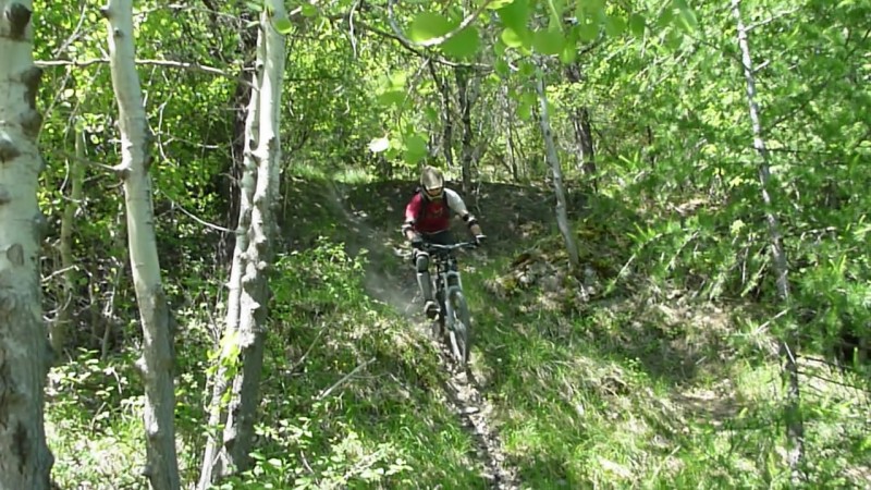 #2 Dans les bois : C Dans les bois : C'est bien vert..