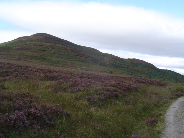 Conic Hill : Conic Hill, here I come!