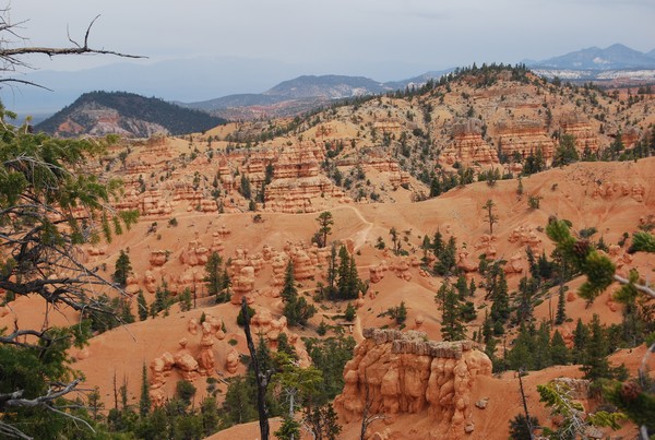 #5 Red canyon : Cherchez le sentier Red canyon : Cherchez le sentier