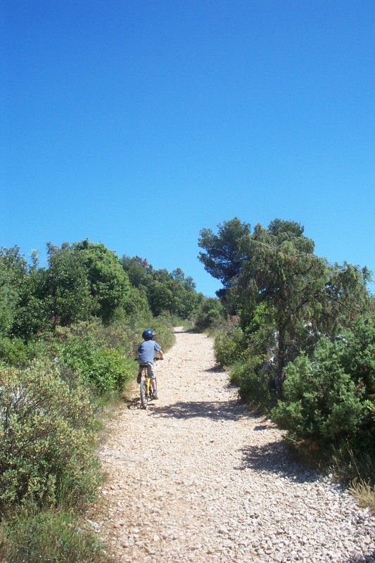 Montée à la tour : qui abrite la table d'orientation