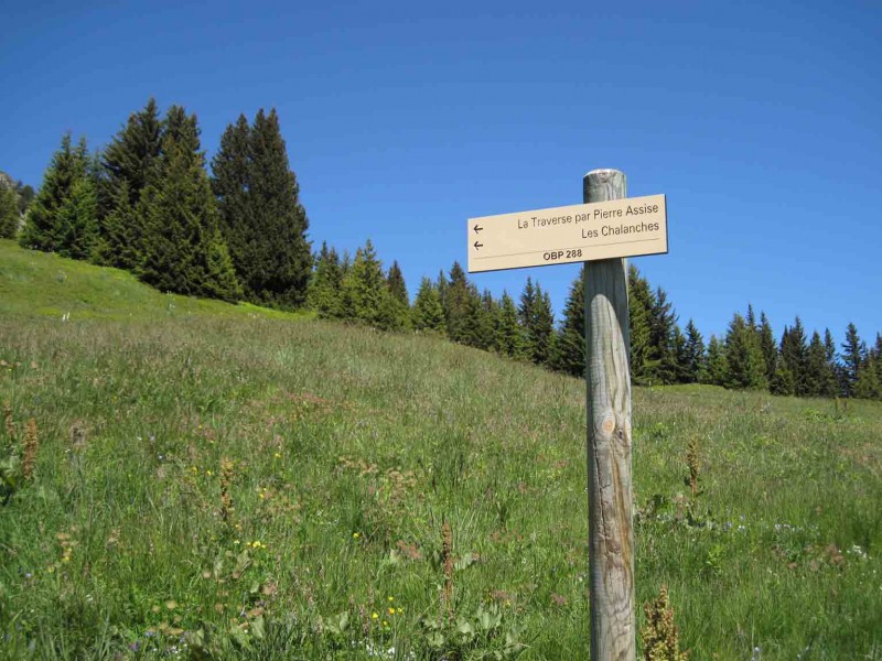 #5 Chazeau : ... on va aux Chalanches Chazeau : ... on va aux Chalanches