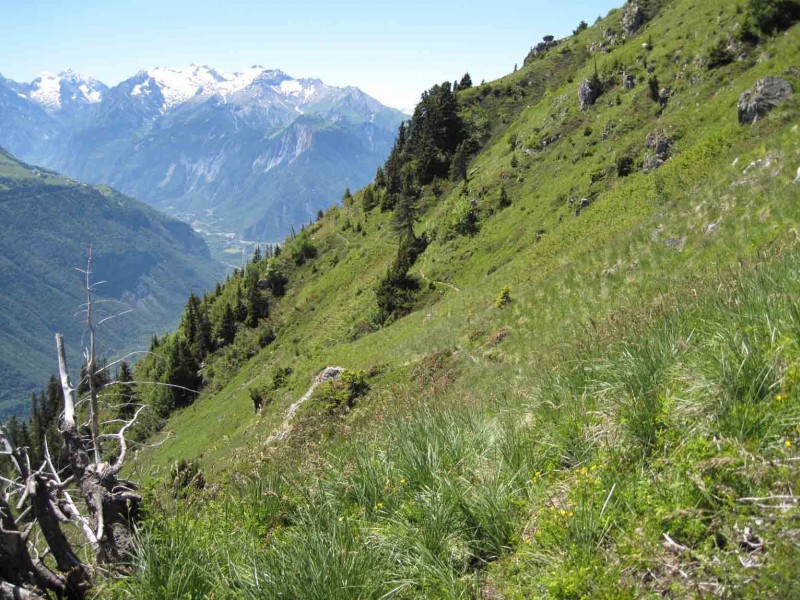 Chazeau-Chalanches : En balcon le sentier cherche son itinéraire