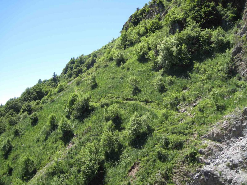 Chazeau-Chalanches : Toujours en balcon le sentier cherche son itinéraire