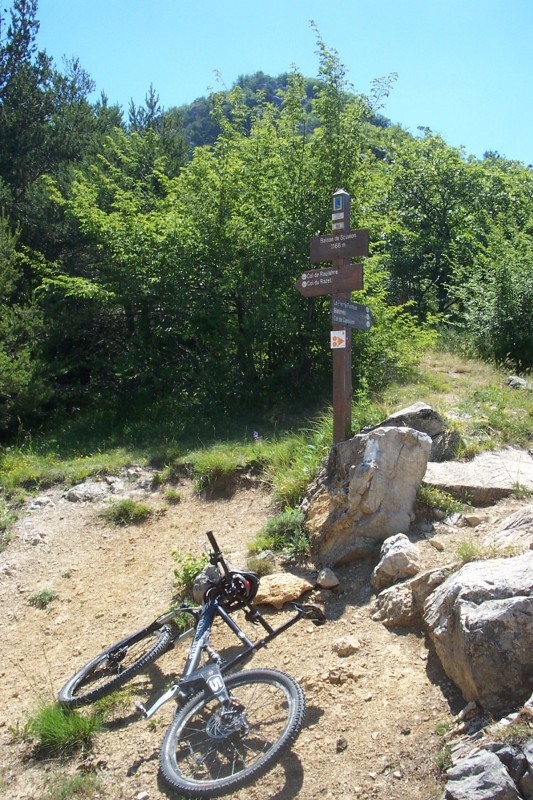 #5 Baisse de Scuvion : Pour une fois, je tente le sentier sur l Baisse de Scuvion : Pour une fois, je tente le sentier sur l'ubac du Mont Razet (jamais fait).
Il est plus facile (enfin c'est pas du T1 non plus) que celui sur l'adret qui en plus était trop ensoleillé aujourd'hui.