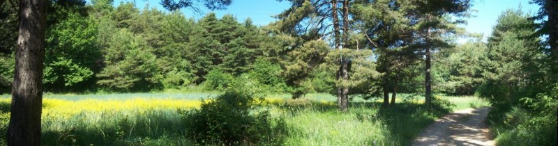 #1 Plan German : Le départ du sentier de Plan German est difficile à trouver aujourd Plan German : Le départ du sentier de Plan German est difficile à trouver aujourd'hui
