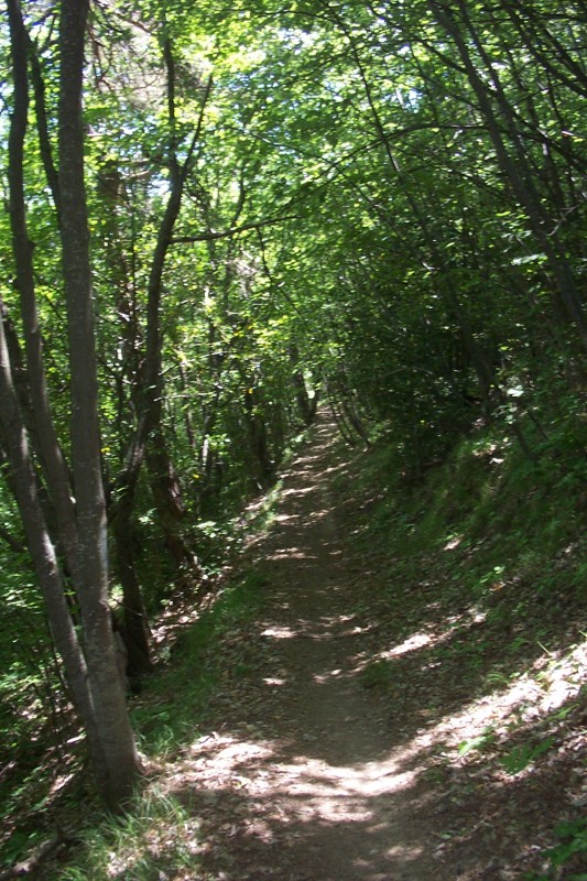 #6 Ubac du Mt Razet : Sentier parfois très roulant et rapide Ubac du Mt Razet : Sentier parfois très roulant et rapide