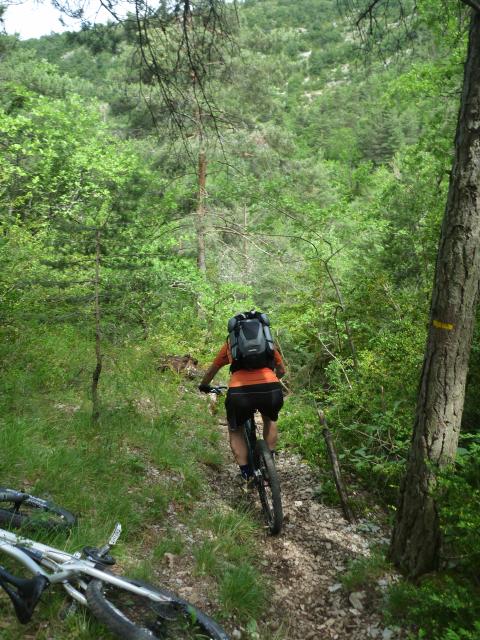 #7 Mumuse dans la forêt : c Mumuse dans la forêt : c'est bon ça...