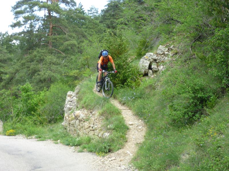 #9 Fin de sentier : pour rejoindre la toute petite route du ravin du riou Fin de sentier : pour rejoindre la toute petite route du ravin du riou