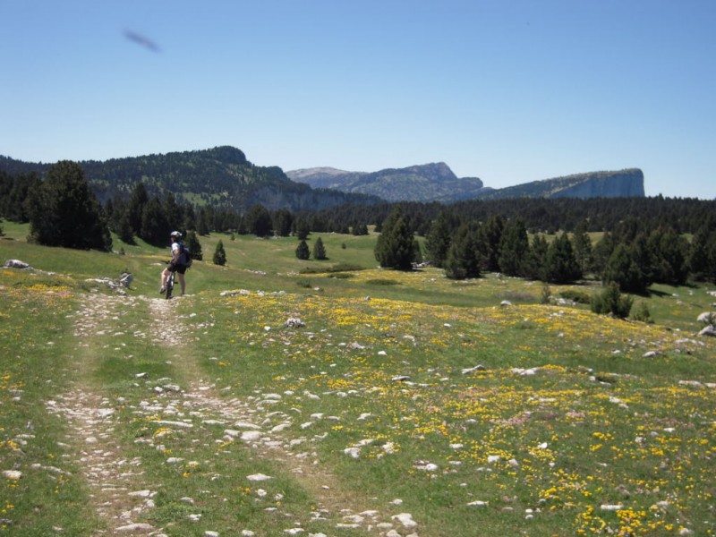 #2 Hauts Plateaux-suite Hauts Plateaux-suite