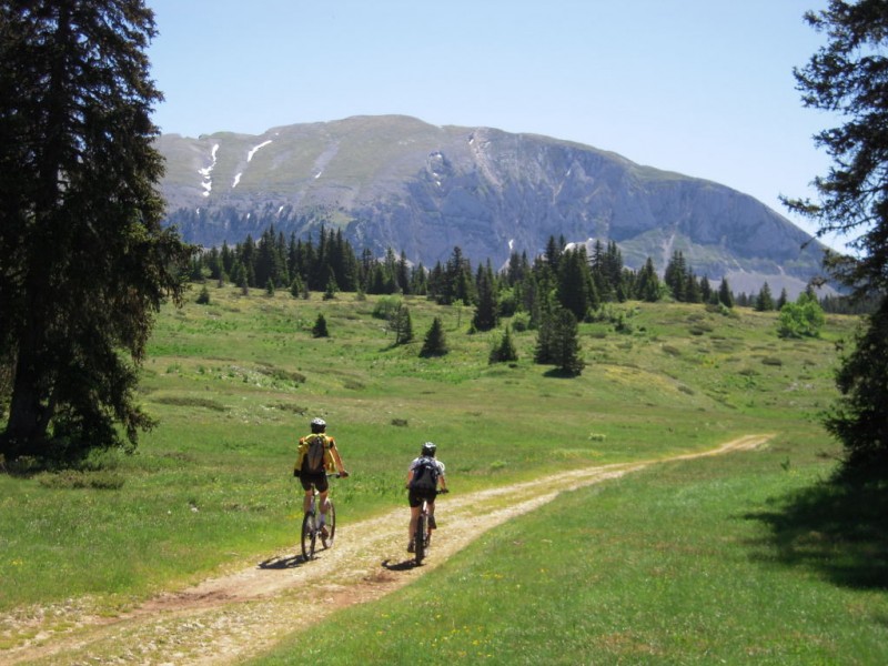 #1 Hauts Plateaux Hauts Plateaux
