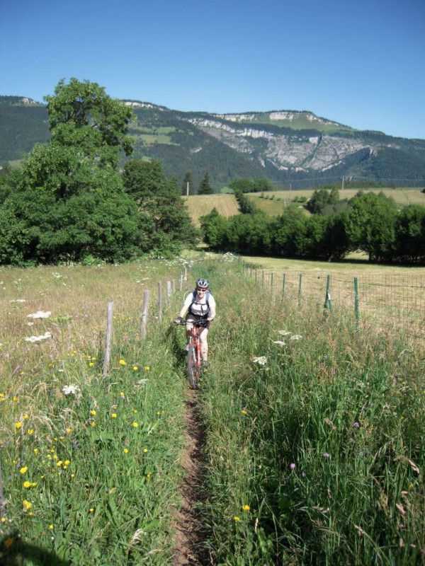 Dernière montée : Un peu avant Saint-Nizier