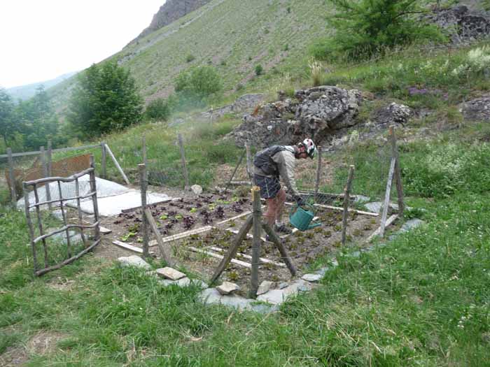 #10 Le jardinier des clots : Ne pas oublier d Le jardinier des clots : Ne pas oublier d'arroser à la descente le potager