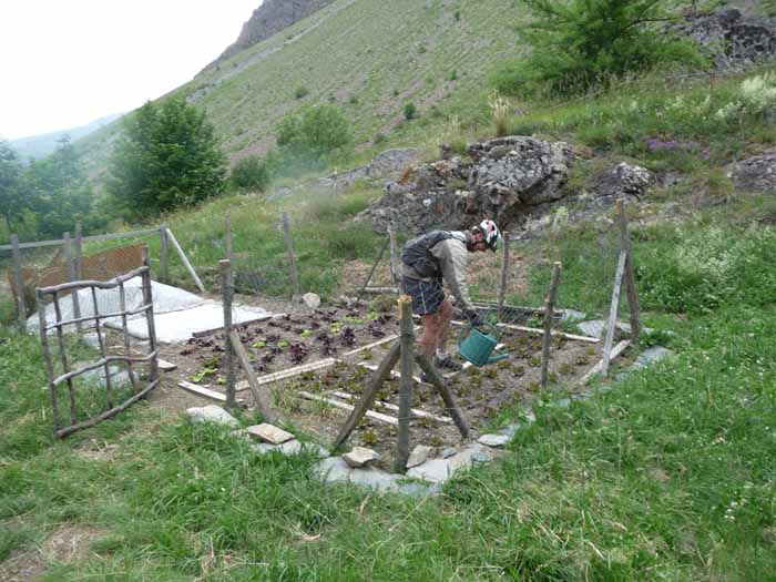 Le jardinier des clots : Ne pas oublier d'arroser à la descente le potager