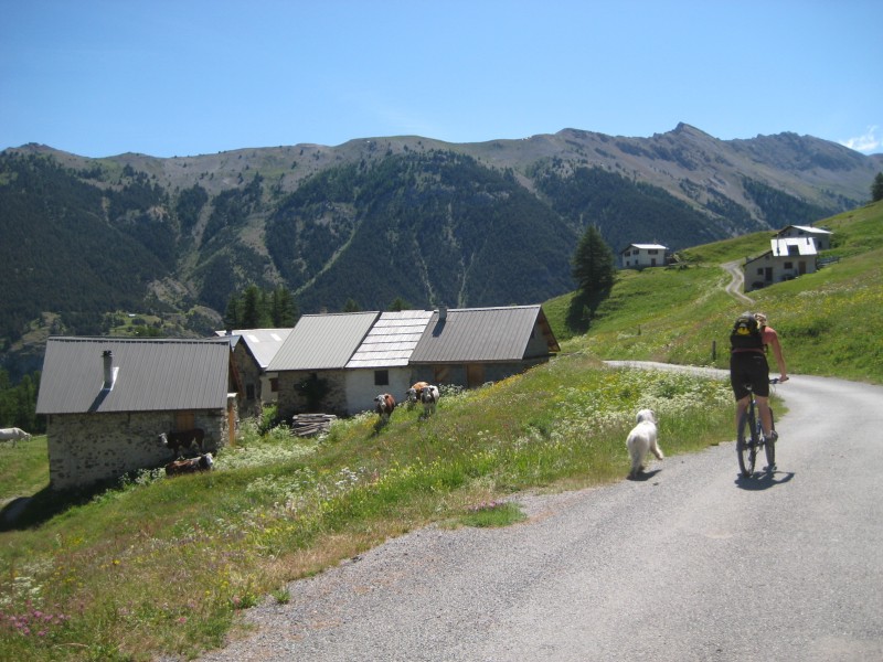 #1 Arrivée au hameau Arrivée au hameau