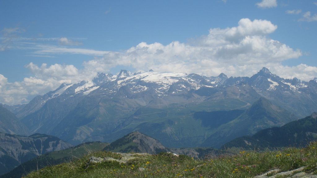 #6 Ecrins : ça bourgeonne sur Meije et Rateau Ecrins : ça bourgeonne sur Meije et Rateau