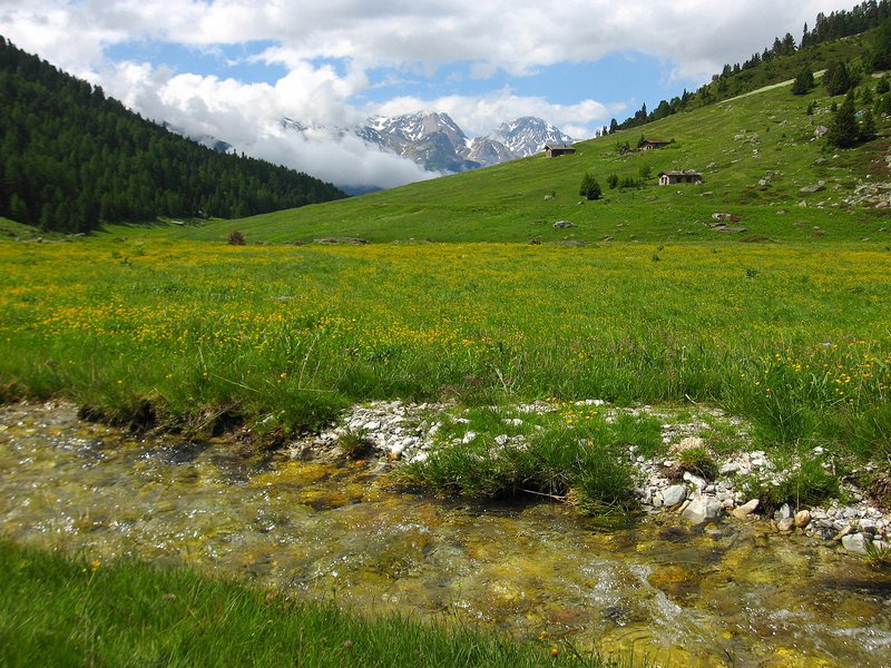 #5 Orgère : Et au milieu coule une rivière Orgère : Et au milieu coule une rivière