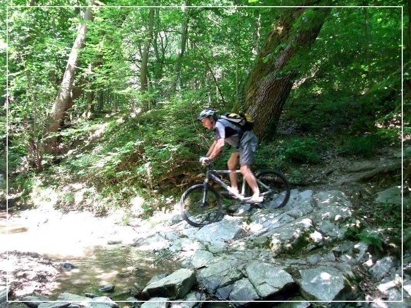 #20 Ruisseau du Morin : yves ;-{))) Ruisseau du Morin : yves ;-{)))