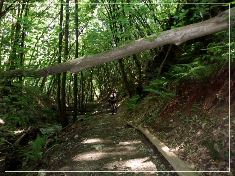 #12 Ruisseau Rolland : Vallon ludique Ruisseau Rolland : Vallon ludique