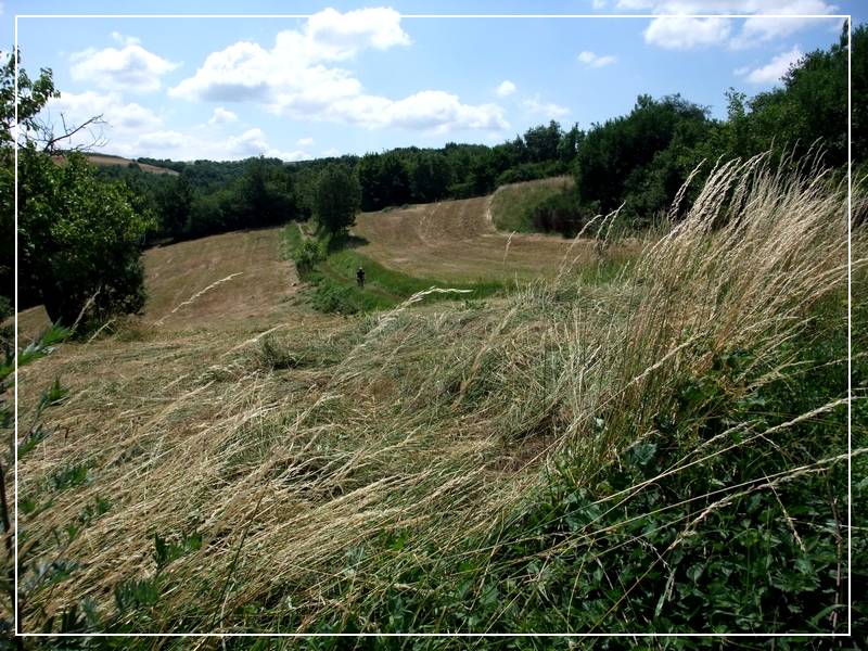 #21 Le Moriat : Belle campagne Le Moriat : Belle campagne