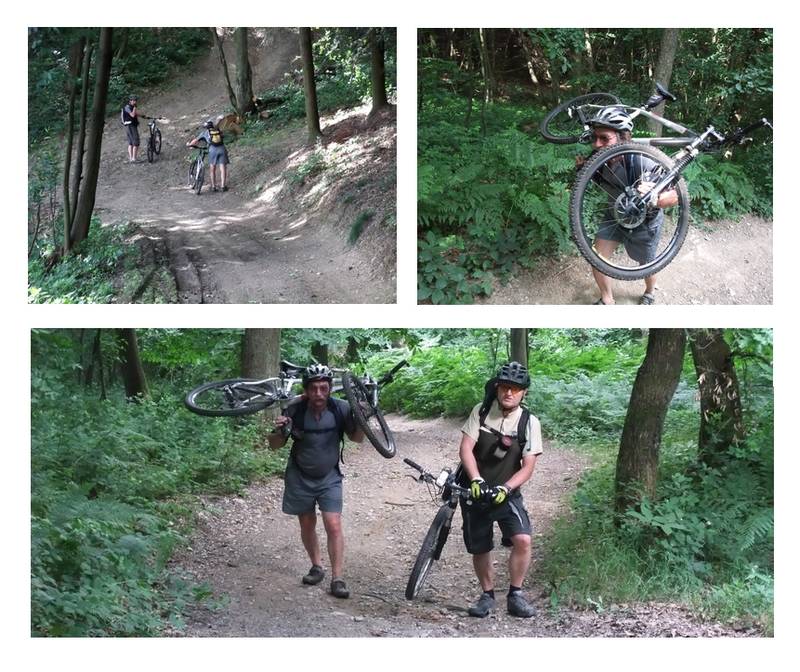 #9 Bois de Grand-Combe : Chacun sa technique Bois de Grand-Combe : Chacun sa technique