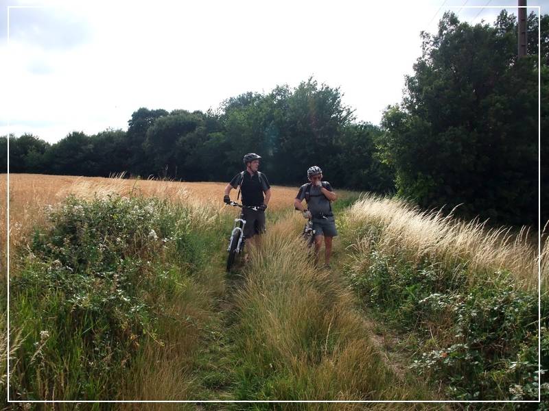 #3 Sur le Plateau. : Belle campagne Sur le Plateau. : Belle campagne