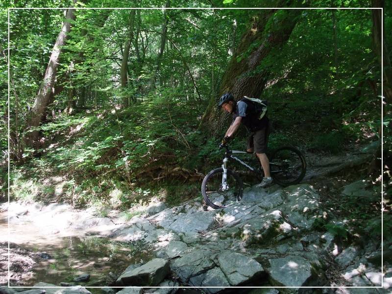 #19 Ruisseau du Morin : jerome Ruisseau du Morin : jerome