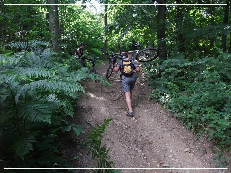#8 Bois de Grand-Combe : VDM? Bois de Grand-Combe : VDM?