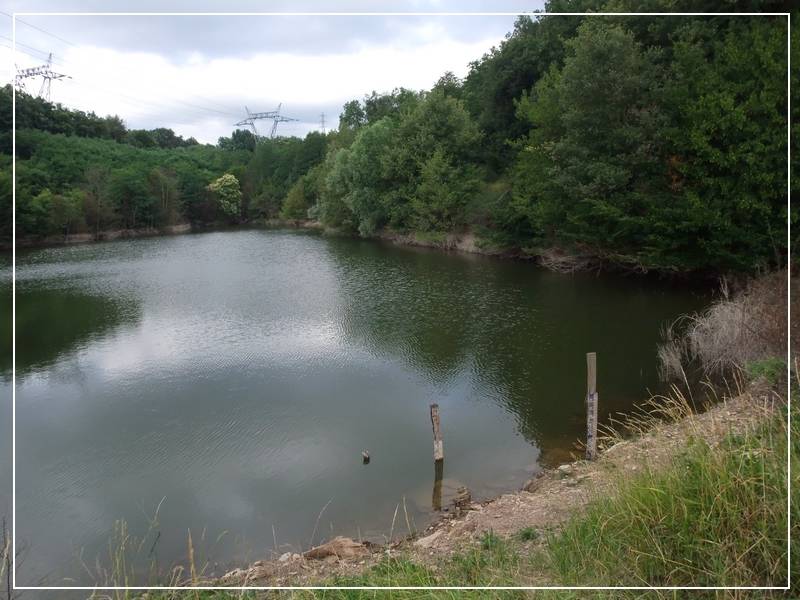 #2 Drevet : Etang de Bans Drevet : Etang de Bans