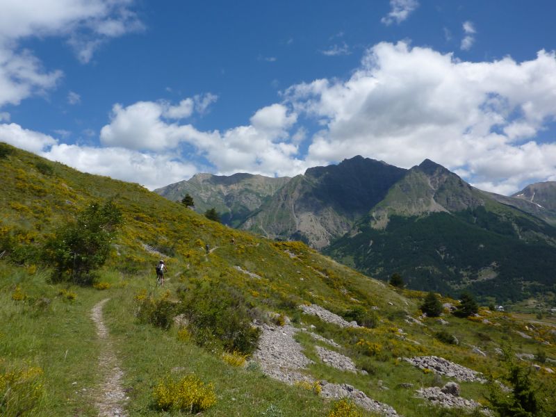 #1 Direction Réallon : le nez dans les fleurs Direction Réallon : le nez dans les fleurs