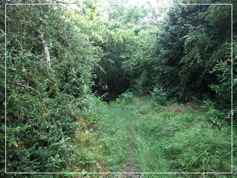 #4 Bois de la Mareraie : l Bois de la Mareraie : l'entrée de la descente bonus