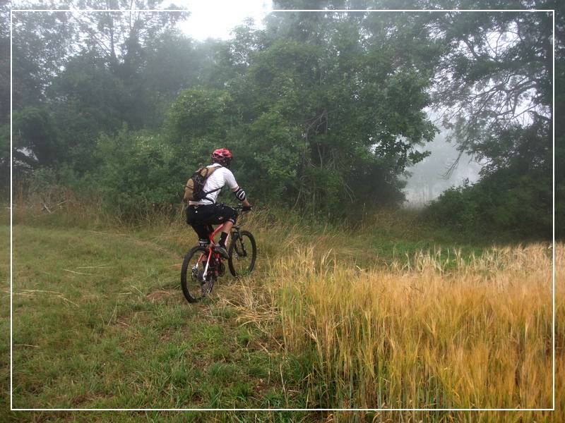 #3 Vers le lac de Millieu : 9h00: Le brouillard se lève Vers le lac de Millieu : 9h00: Le brouillard se lève