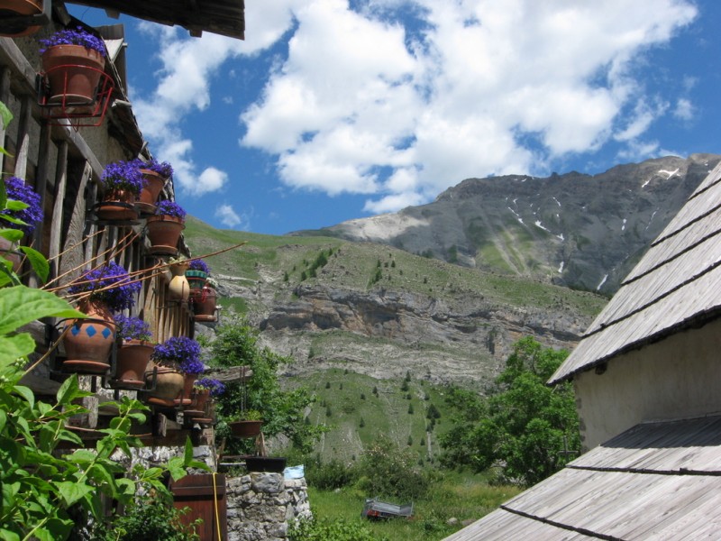 #23 Sussis -> Peone : Dans le hameau des Tourres Sussis -> Peone : Dans le hameau des Tourres