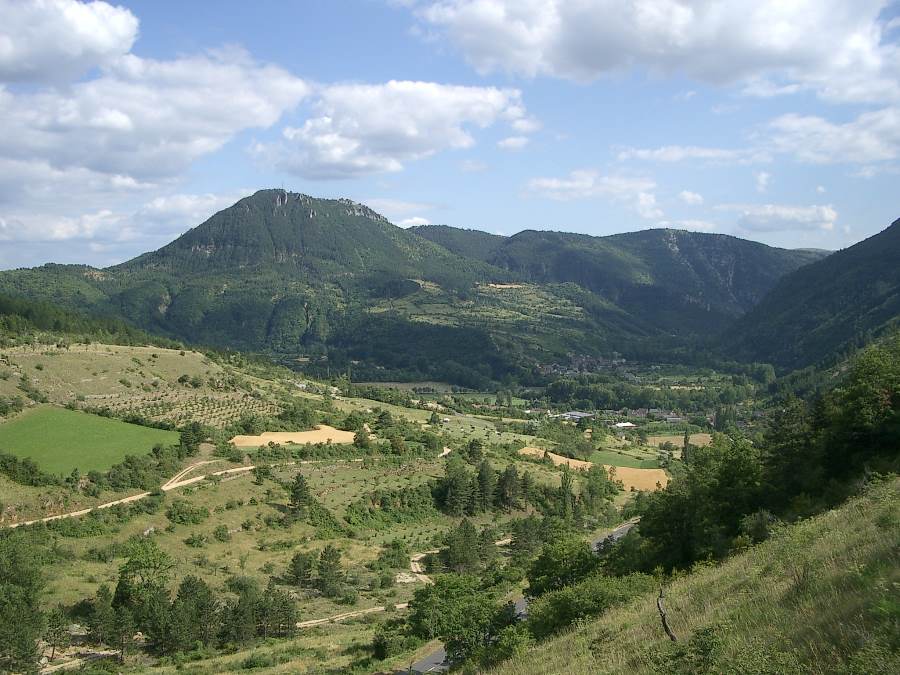 #1 Molines : Vue depuis la D.31 Molines : Vue depuis la D.31