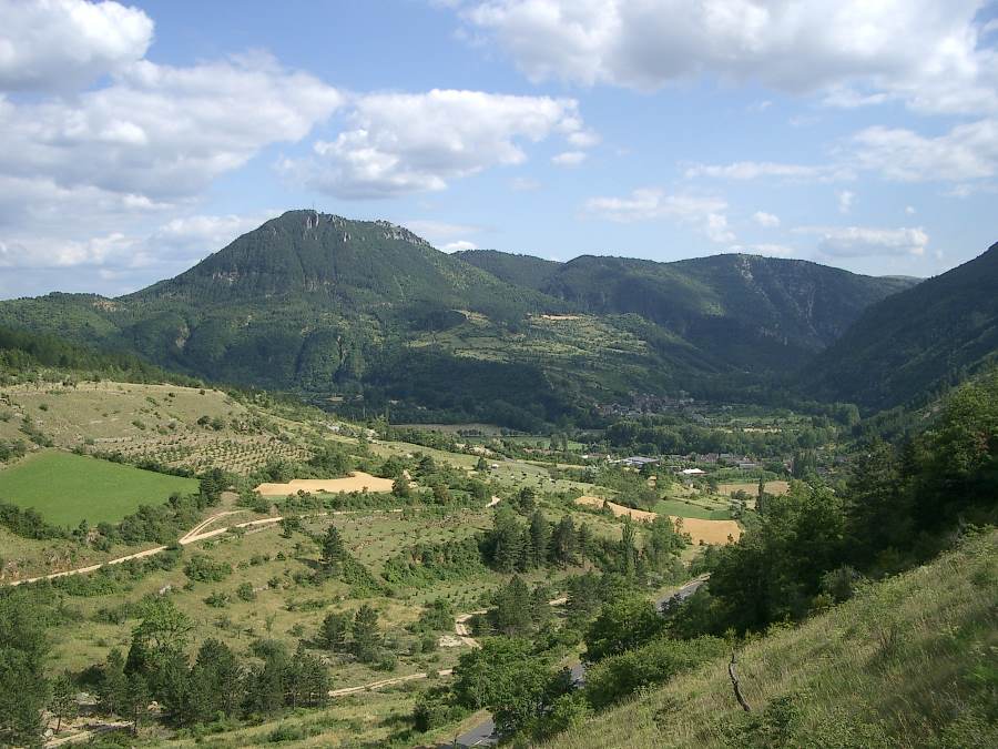 Molines : Vue depuis la D.31