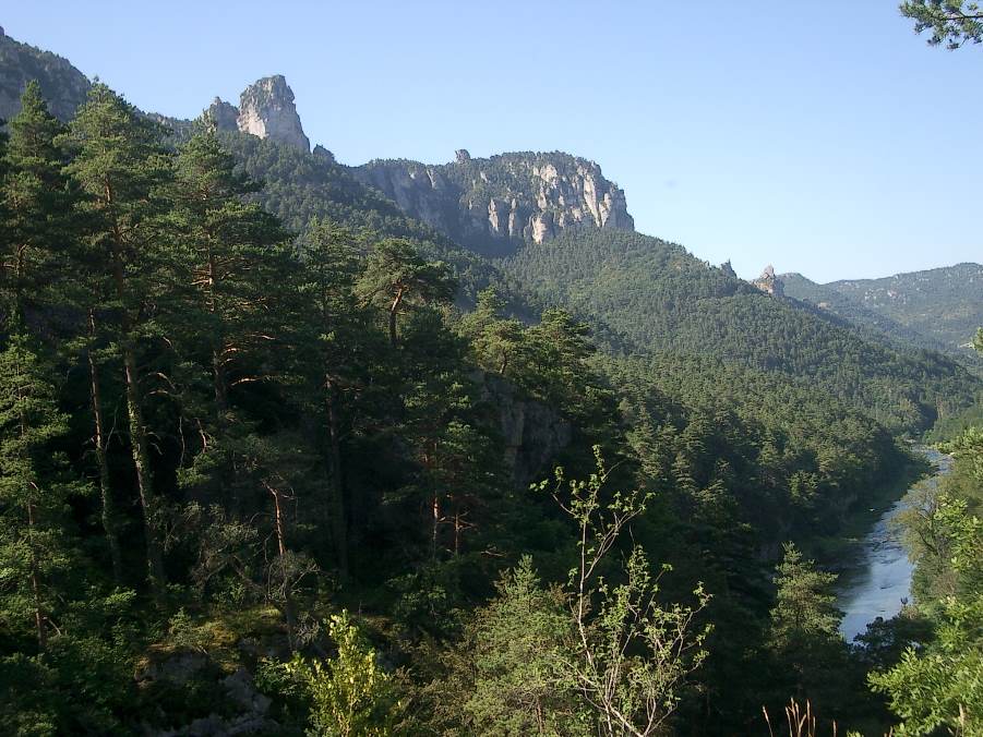 #11 Gorges du Tarn : En direction de Les Vignes Gorges du Tarn : En direction de Les Vignes