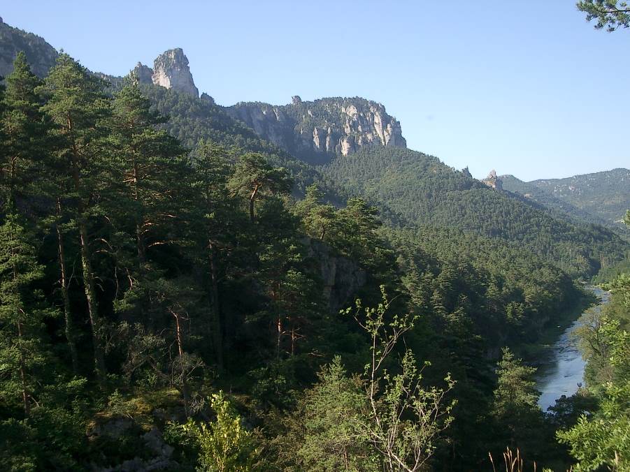 Gorges du Tarn : En direction de Les Vignes