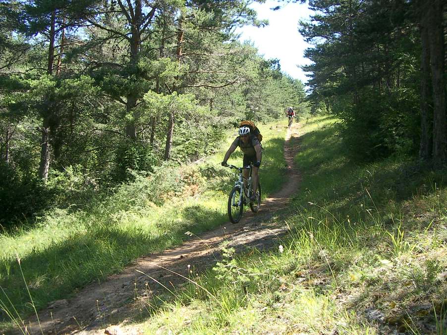 Causse Méjan : en direction de Rieisse