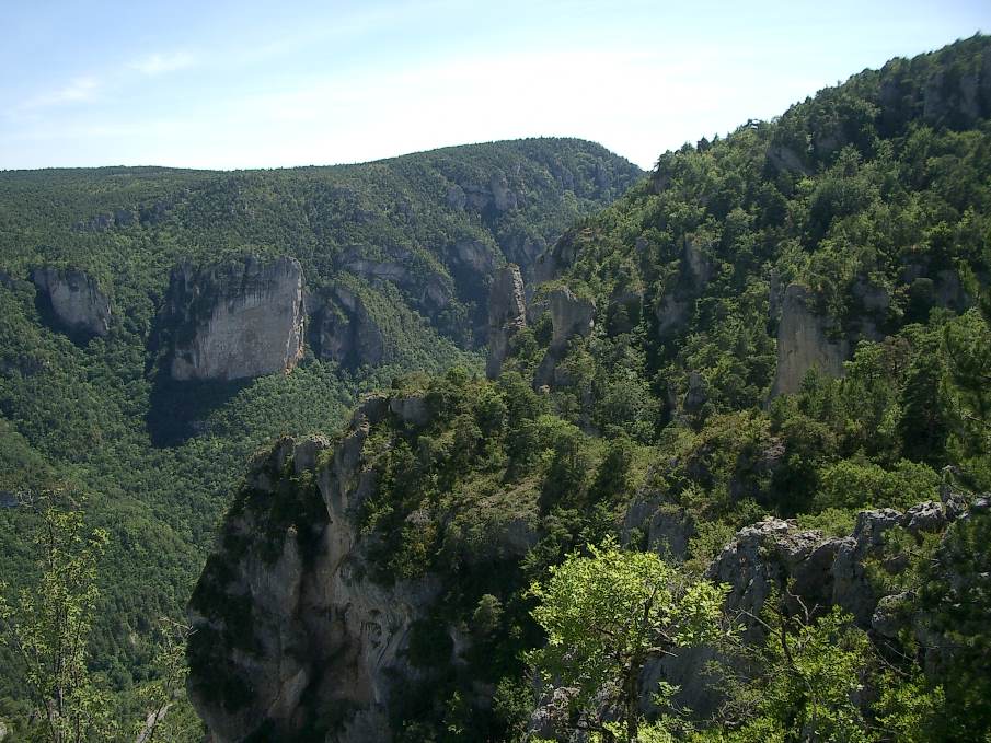 Les gorges de la Jonte