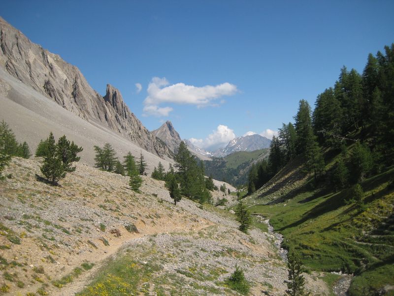 #1 Vallon de l Vallon de l'Opon : Un paysage bien typique du coin