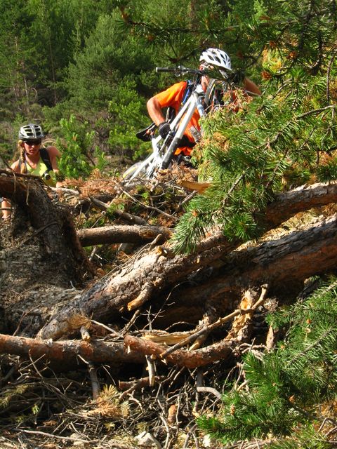#29 La jungle ! : Sportif comme itinéraire... La jungle ! : Sportif comme itinéraire...