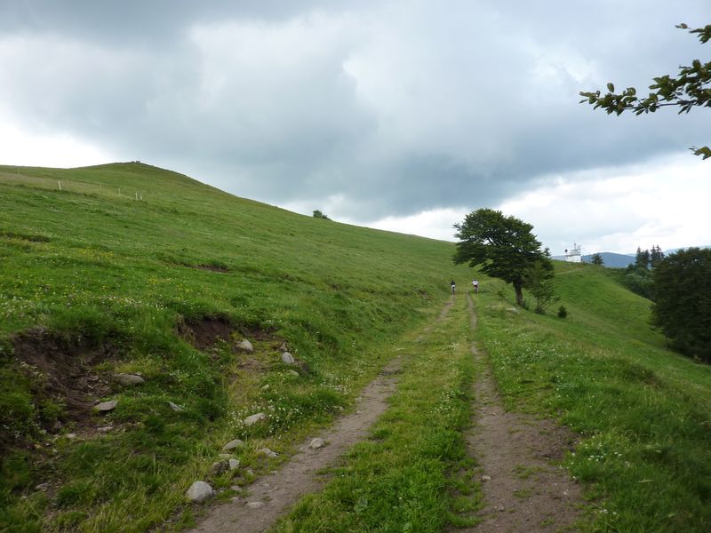 Chaume du Drumont : une table d'orientation coiffe le sommet