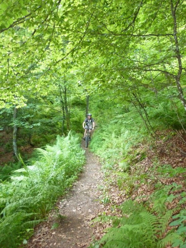 #3 En forêt version 1 : Descente sur le col de Bussang En forêt version 1 : Descente sur le col de Bussang
