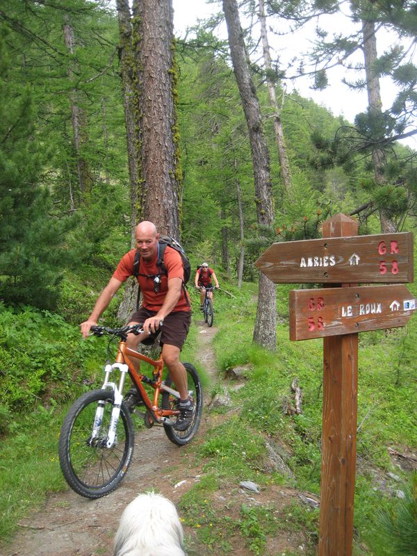 #1 Montée : Belle forêt de mélèzes Montée : Belle forêt de mélèzes